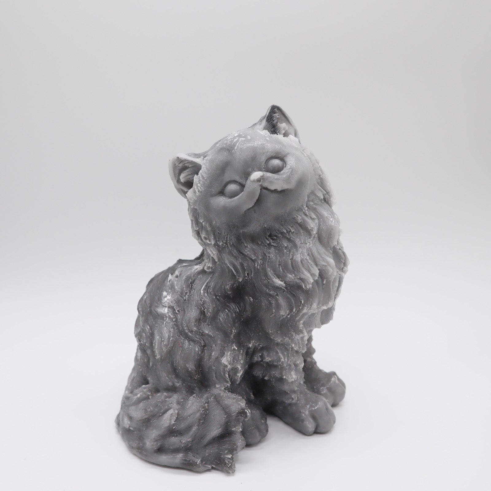 Chat gris