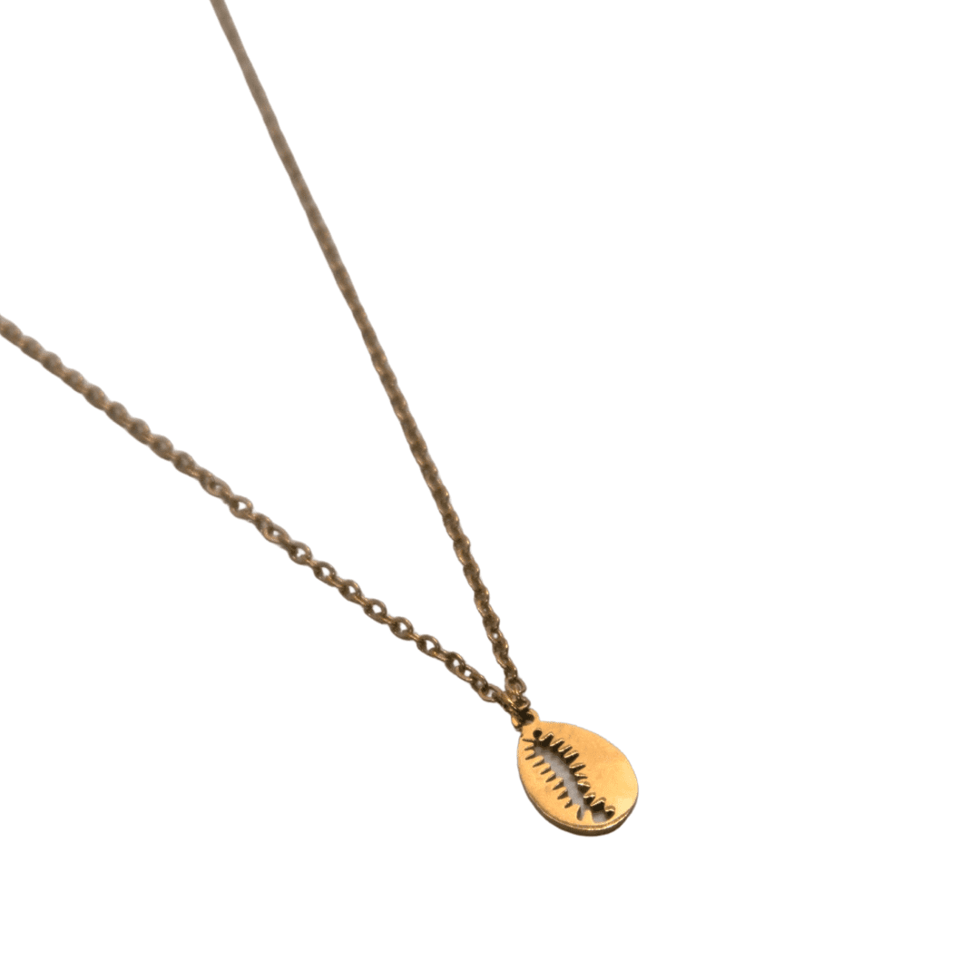 Ketting met schelp